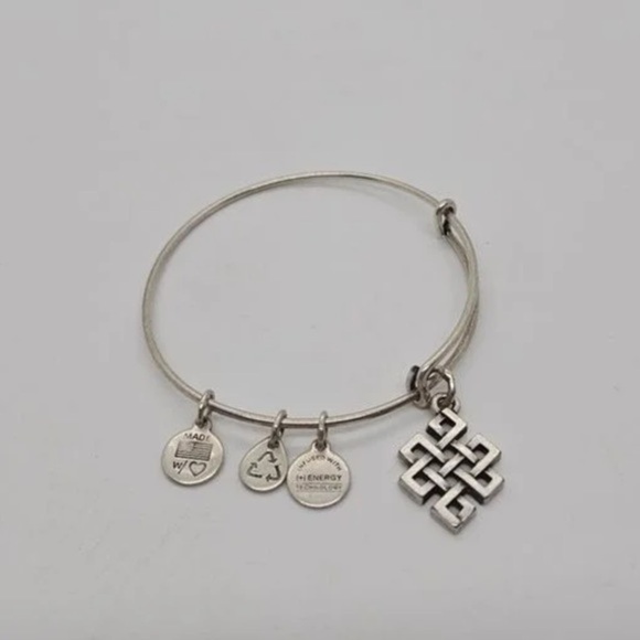 Alex And Ani Endless Knot Charm Antique Silver Finish Bangle Bracelet One Size - Picture 1 of 16